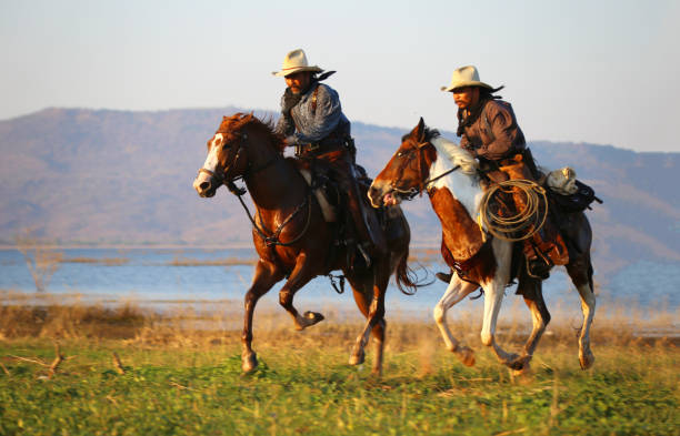 istock Men Riding Horse On Grass 1141652511
