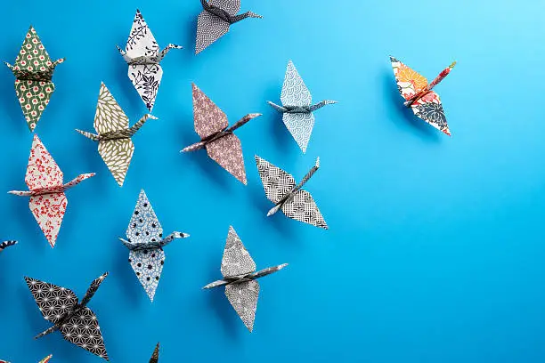 Photo of Origami birds