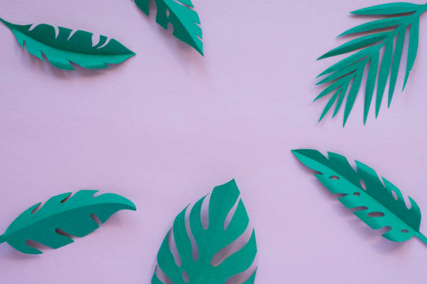 istock tropical leaves cut from paper on a pink background. 1141660730