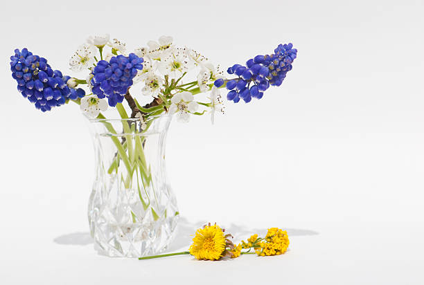 istock Flowers in Glass Vase 114166515