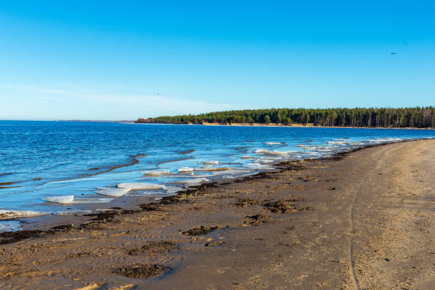 istock empty sea beach with ice leftovers and no snow 1141668258