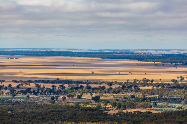 istock Agricultural fields and trees in Australia 1141668760