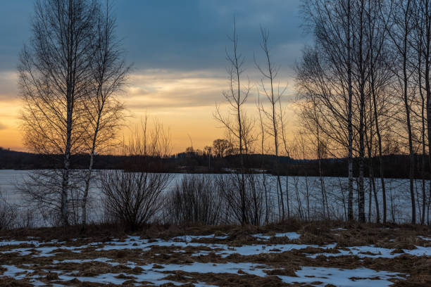 istock orange red sunset in winter in woods 1141669913