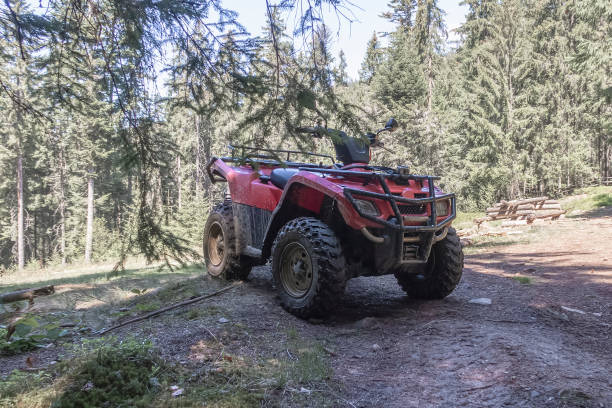 istock red quad bike in the forest, side and front view 1141671645