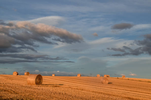 istock Sunset sky in Biei ,Hokkaido ,japan. 1141674860