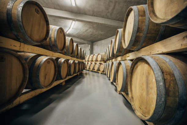 istock Bunch of wine casks in wine cellar 1141674965