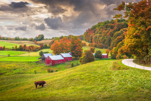 istock Farmland in Vermont 1141676868