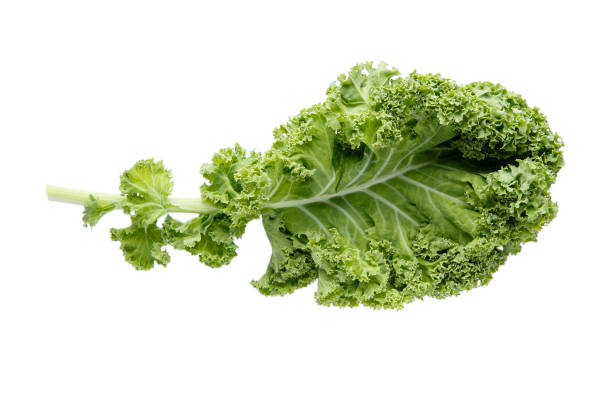 istock Fresh green organic kale leaf isolated on white. 1141679525