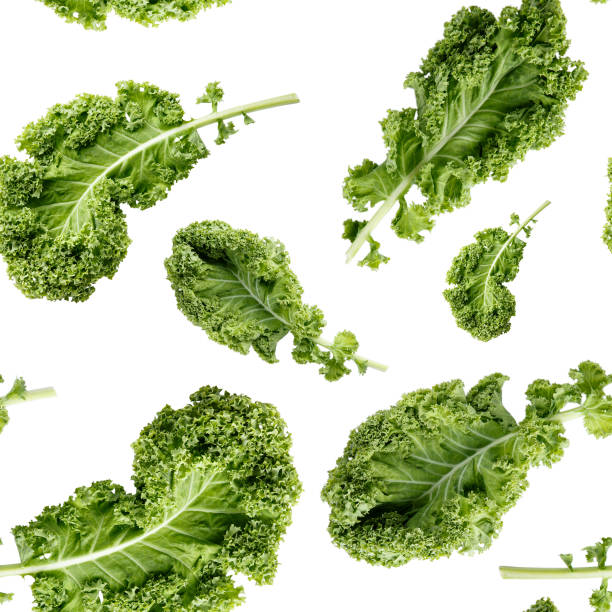 Seamless pattern with green kale leaf isolated on white. Vegetable background. Food texture. Close-up photo. Seamless pattern with green kale leaf isolated on white. Vegetable background. Food texture. Close-up photo. kale photos stock pictures, royalty-free photos & images