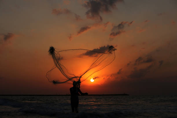 istock network fishing 1141681416
