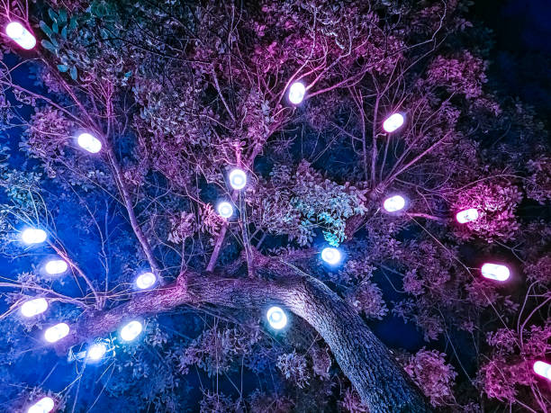 Magical tree having ethereal feeling with magenta and purple colors