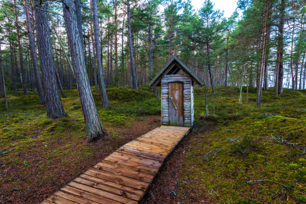 istock wooden boardwalk in wet forest 1141685434