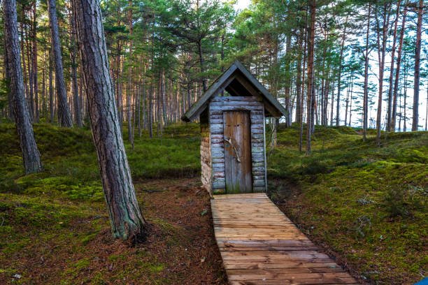 istock wooden boardwalk in wet forest 1141685435