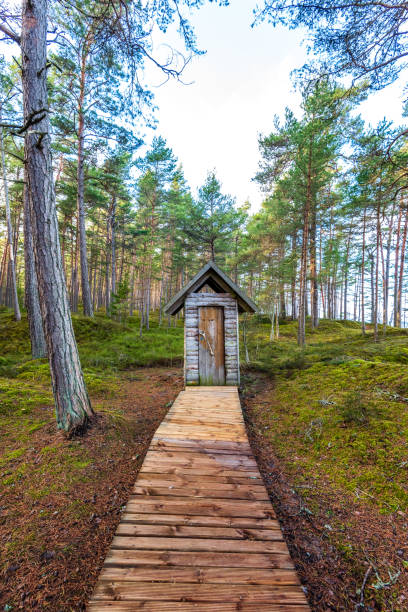 istock wooden boardwalk in wet forest 1141685436