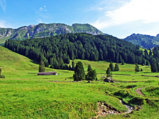 istock Alpine pastures and meadows on the slopes of Alpstein mountain range 1141685751