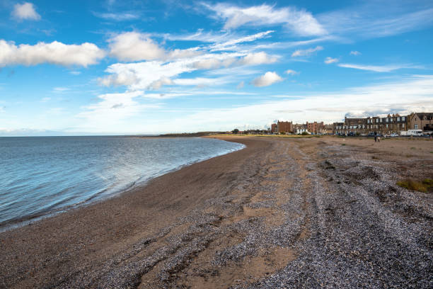 istock Sandy Beach Covered in Shells and Blue Sky with Clouds in Autumn 1141688684