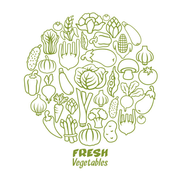 야채 원형 조성 물 - vegetable asparagus cauliflower legume stock illustrations