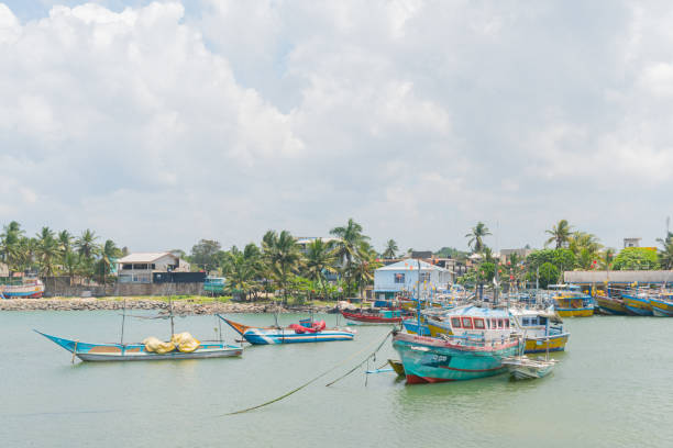 istock March 2, 2018. Hikkaduwa, Sri Lanka. 1141692363