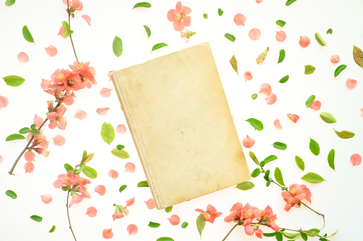 Old book mock up with springtime floral decoration, top view flat lay copy space