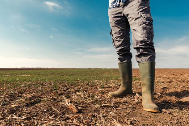 istock Farmer planning agricultural activity in field 1141694501