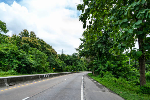 istock Beauty empty highway road with lamp post and tree on cloudy and blue sky day background 1141694701