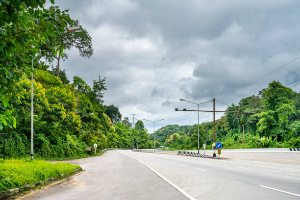 istock Beauty empty highway road with lamp post and tree on cloudy sky background 1141694905