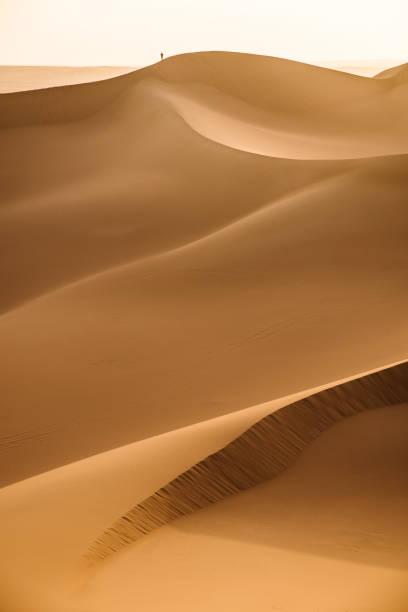 weite wüstenflächen und eine kleine figur eines mannes in der ferne - sahara desert stock-fotos und bilder