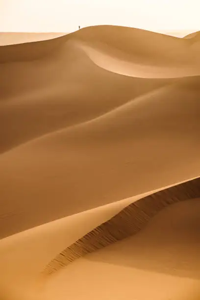 Vast expanses of sand desert and a small figure of a man in the distance. The relief of sand dunes is clearly visible.