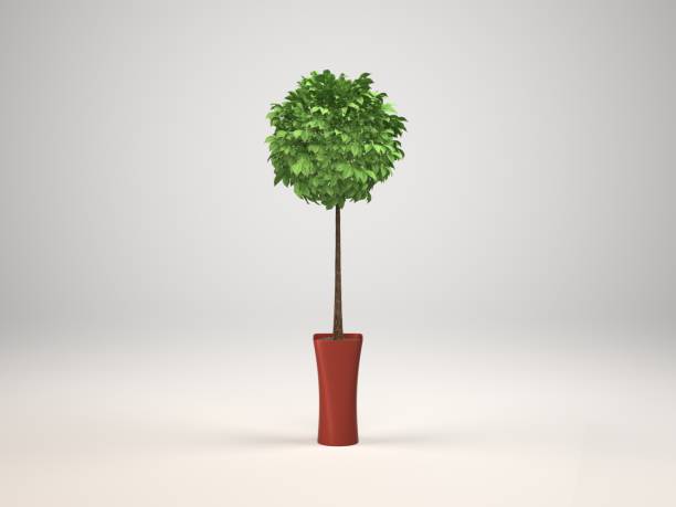 istock Indoor decorative plant and pot, 3d Rendering 1141696192