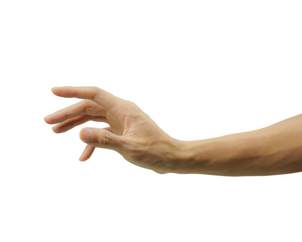 istock A man hand gesturing or showing something isolated on white background. Carefully cut out by pen tool and insert clipping path. 1141696601