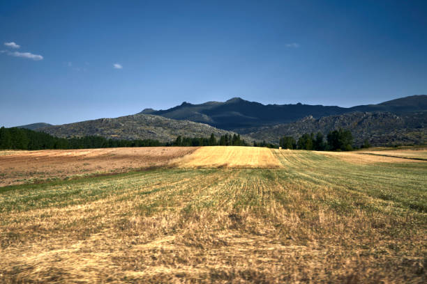 View of the countryside, fields and hills in the region of Mistretta in northern Sicily