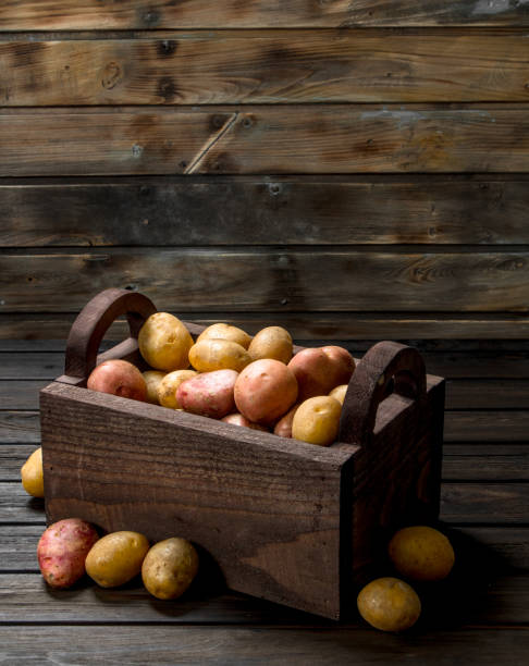 istock Fresh potatoes in the box. 1141700174