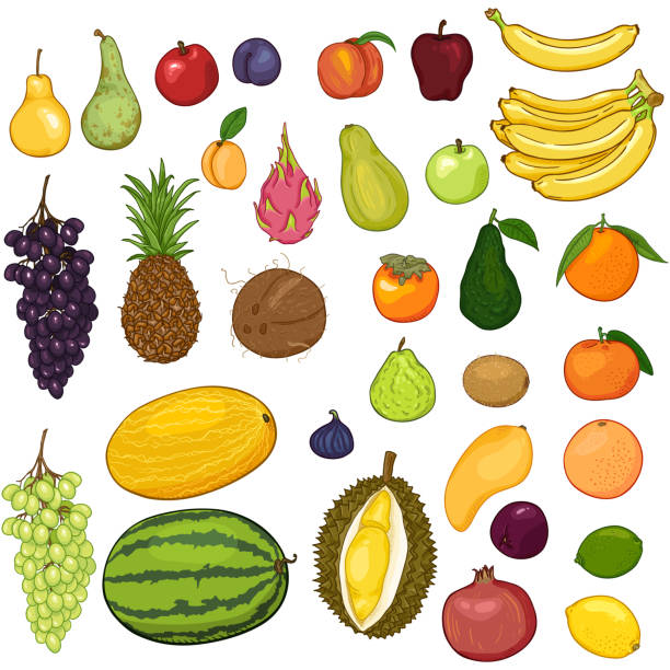 ilustraciones, imágenes clip art, dibujos animados e iconos de stock de conjunto vectorial de frutas de dibujos animados - plum grape fruit clip art