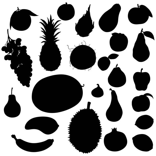 ilustraciones, imágenes clip art, dibujos animados e iconos de stock de vector conjunto de siluetas de frutas - plum grape fruit clip art