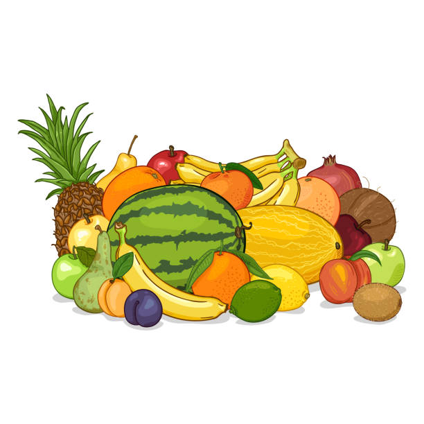 ilustraciones, imágenes clip art, dibujos animados e iconos de stock de vector pila de frutas de dibujos animados - plum grape fruit clip art