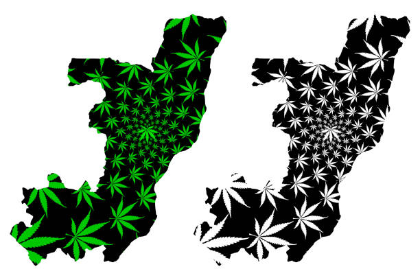 kongo-republik-karte ist cannabisblatt gestaltet - pointe noire stock-grafiken, -clipart, -cartoons und -symbole