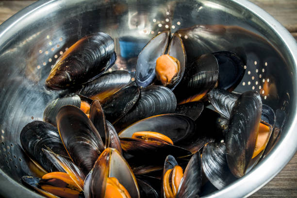 istock Fresh seafood clams. 1141703713