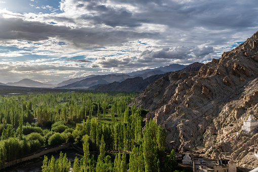 Summer forest with Mountain Landscape in Leh Ladakh with Cloudy blue sky Leh Ladakh, Jammu and Kashmir, India