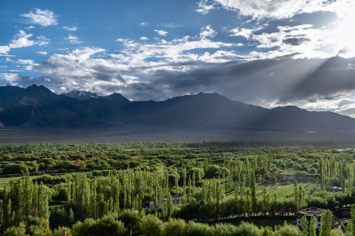 Summer forest with Mountain Landscape in Leh Ladakh with Cloudy blue sky Leh Ladakh, Jammu and Kashmir, India