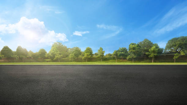 istock asphalt road in recreation park 1141708639