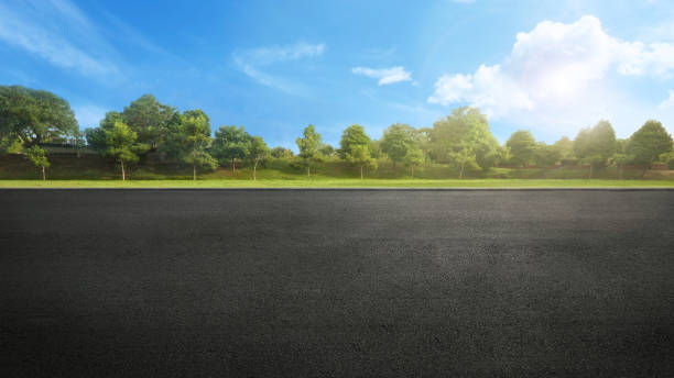 istock asphalt road in recreation park 1141708643