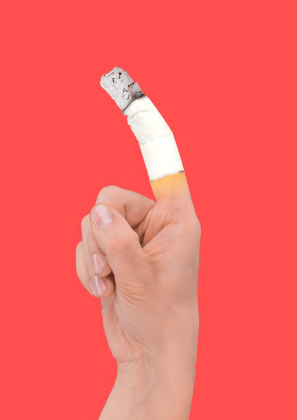 istock Modern design. Contemporary art collage. 1141709421