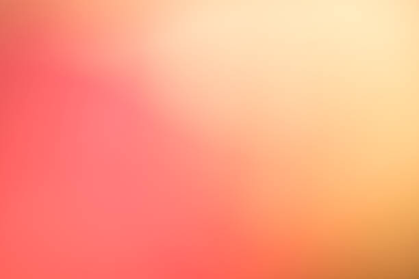 istock Abstract floral blurred background. Tropical flower 1141713291