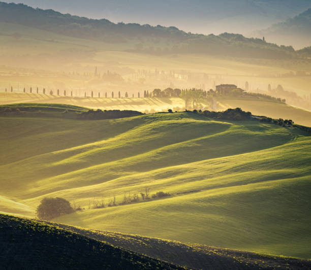 istock Sunny landscape from Val d'Orcia, Tuscany, Italy 1141717780