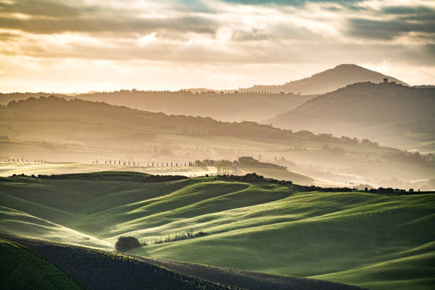 istock Sunny landscape from Val d'Orcia, Tuscany, Italy 1141717819