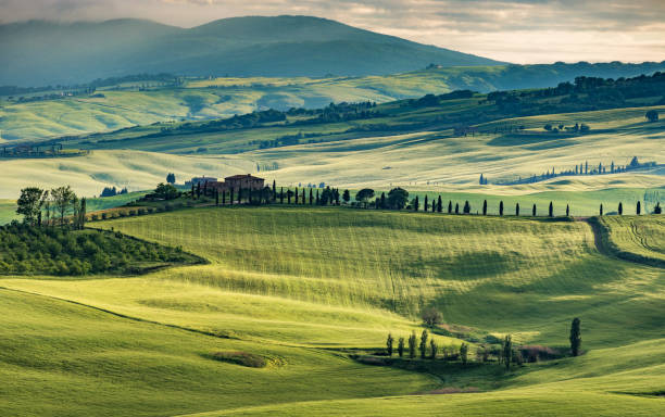 paysage ensoleillé de val d’orcia, toscane, italie - morning italy shadow sunlight photos et images de collection