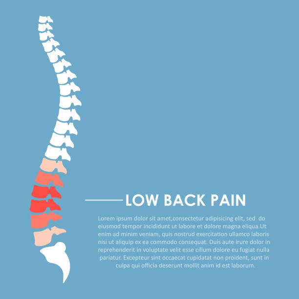 ilustrações de stock, clip art, desenhos animados e ícones de spine pain flat vector design illustration - low back
