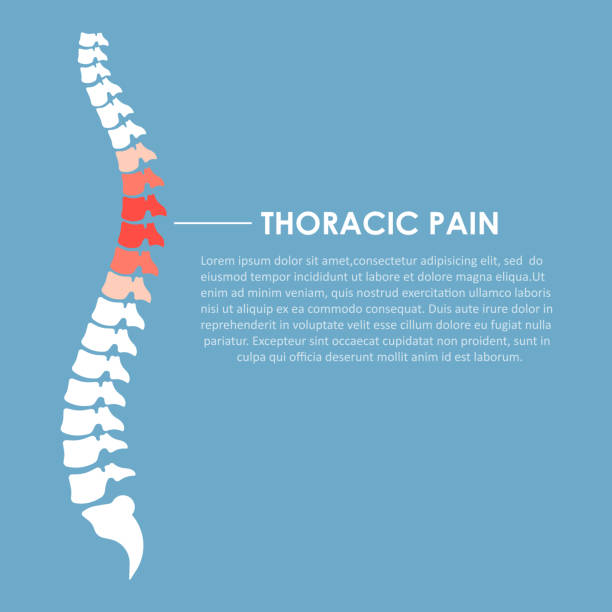 ilustrações de stock, clip art, desenhos animados e ícones de spine pain flat vector design illustration - lower back pain