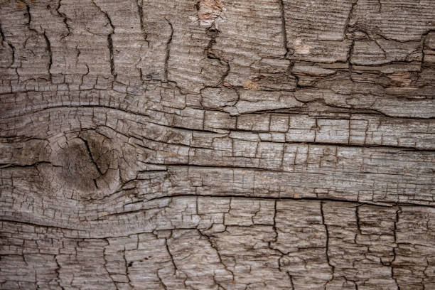 istock Wooden texture for background, universal design for background in rustic eco style 1141721184