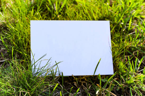 istock Mock up white greeting card or invitation card on green background with grass 1141721192